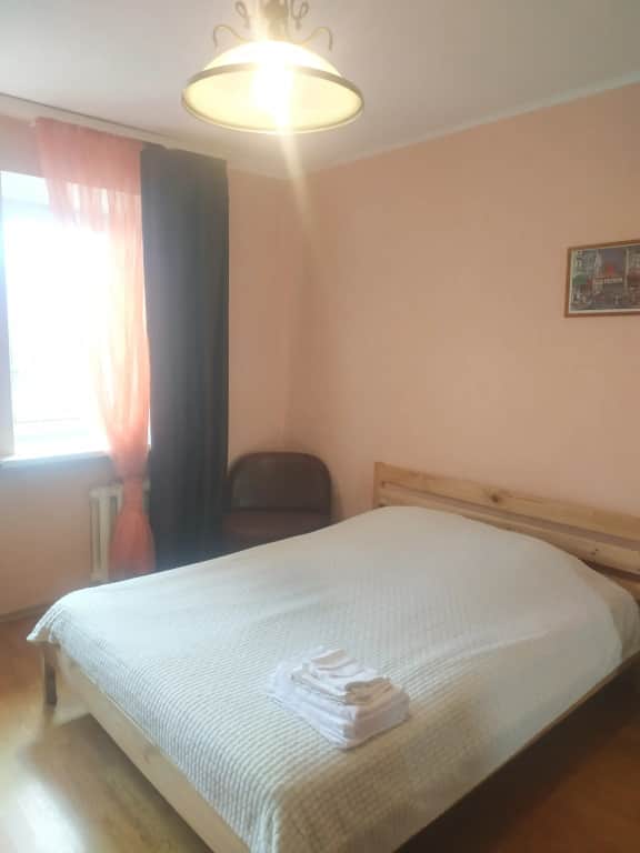 Квартира Большая однушка на пр. Ленина: фото 2