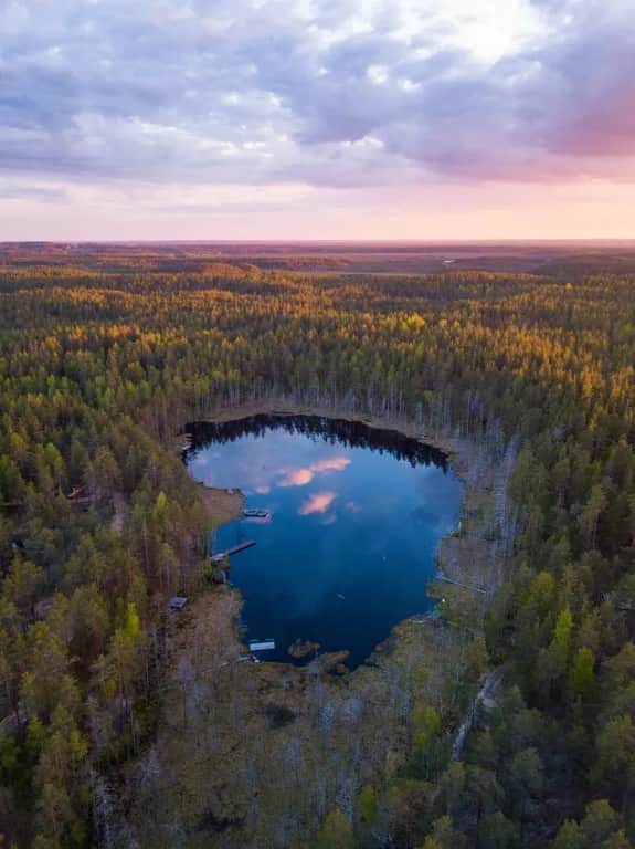 Глэмпинг Forest Lake: фото 2