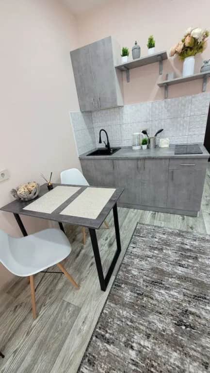 Студия СИБИРЬ HOUSE новой дом в центре: фото 2