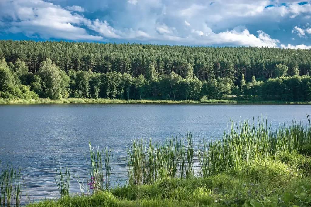 Гостевой Дом Усадьба Мосолов: фото 3