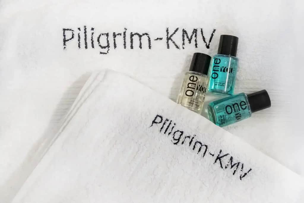 Квартира класса Комфорт в центре спальня + гостиная от Piligrim-KMV.ru: фото 3