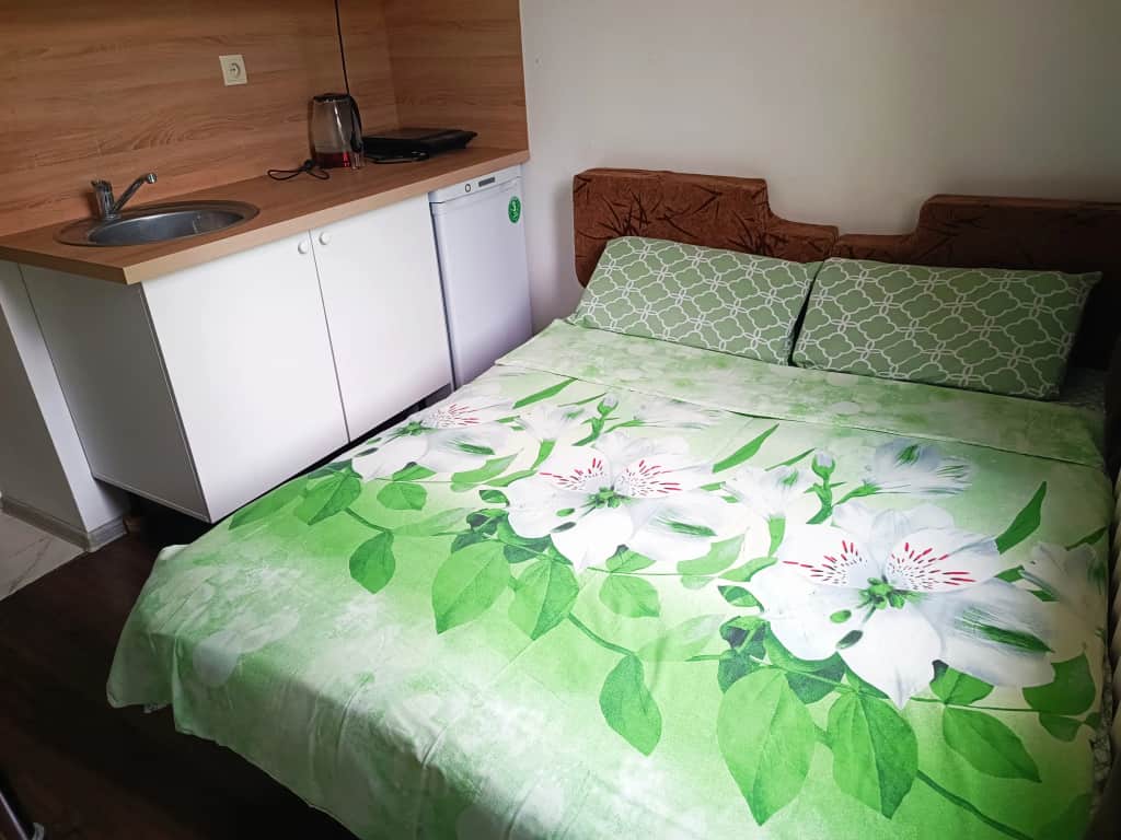 Квартира 12 Ул Новая 26 у Станции Мцд4 Железнодорожная: фото 2