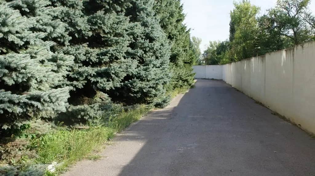 Гостиница Папирус: фото 3