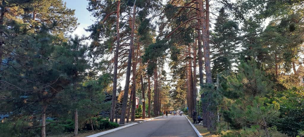 Отель Дом творчества Горячий ключ: фото 3