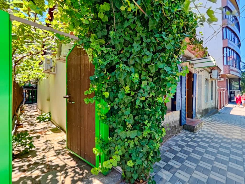 Вилла Бамбук: фото 2