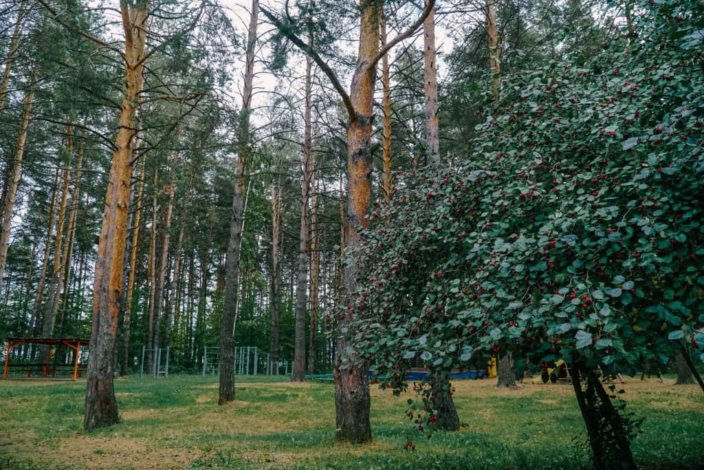 Отель ООО ДСОЛКД Изумруд: фото 2