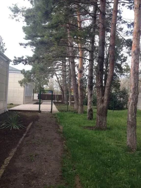 Ночлег и завтрак Гостиница Надежда: фото 3