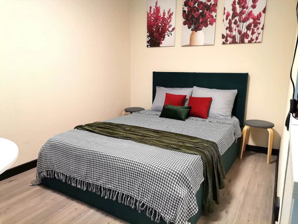 Апартаменты Северное Сияние Мелникайте 83к2 120: фото 2