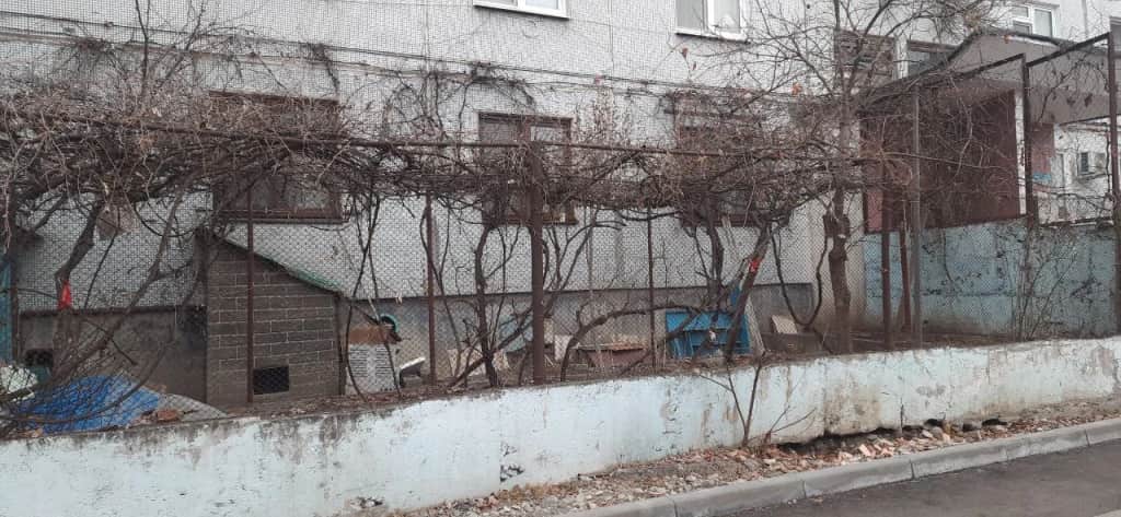 Квартира Уютная Квартира в Районе Автовокзала: фото 3