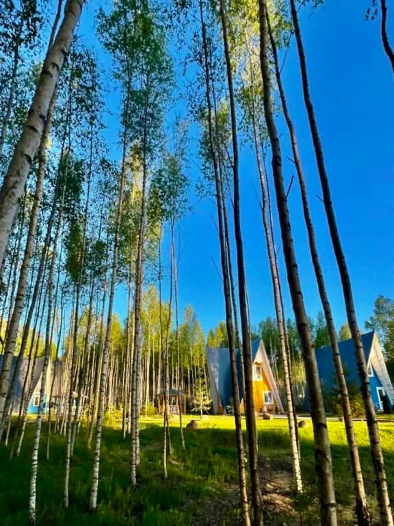 Гостевой дом Эко-Лайф Тимонино: фото 2