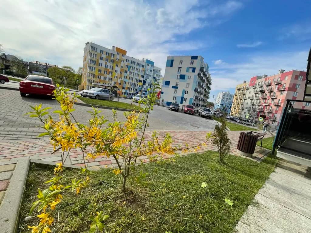 Квартира Элеонора: фото 2