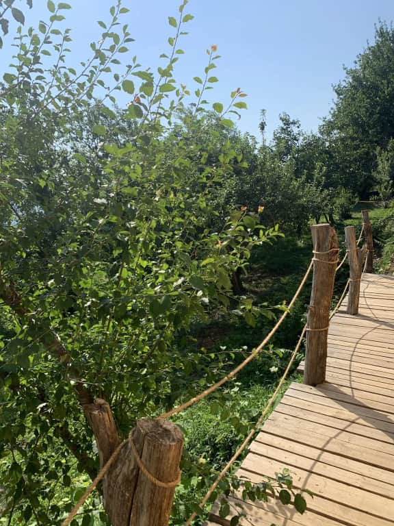 База отдыха Eco Village Sochi: фото 2