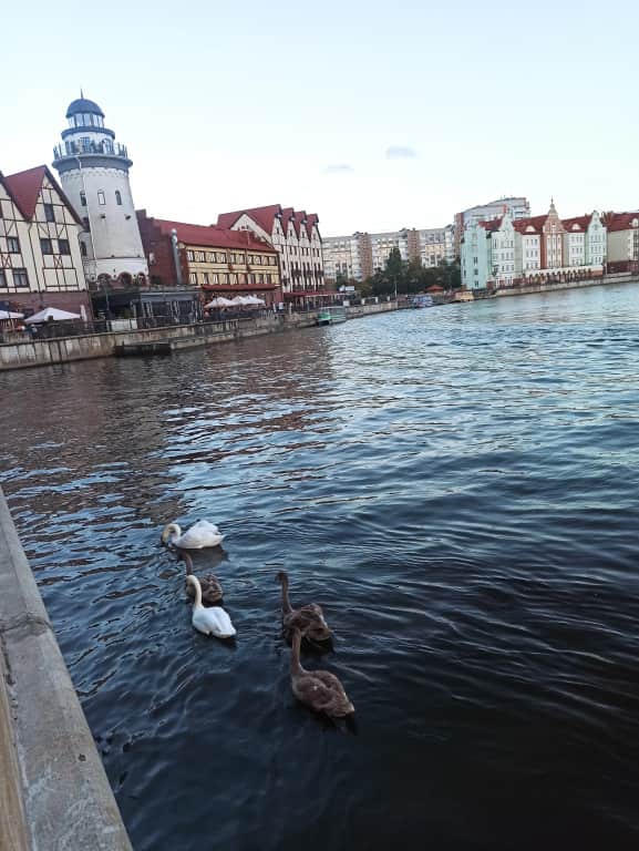 Квартира на Буткова,18 в центре города возле Мирового океана: фото 2