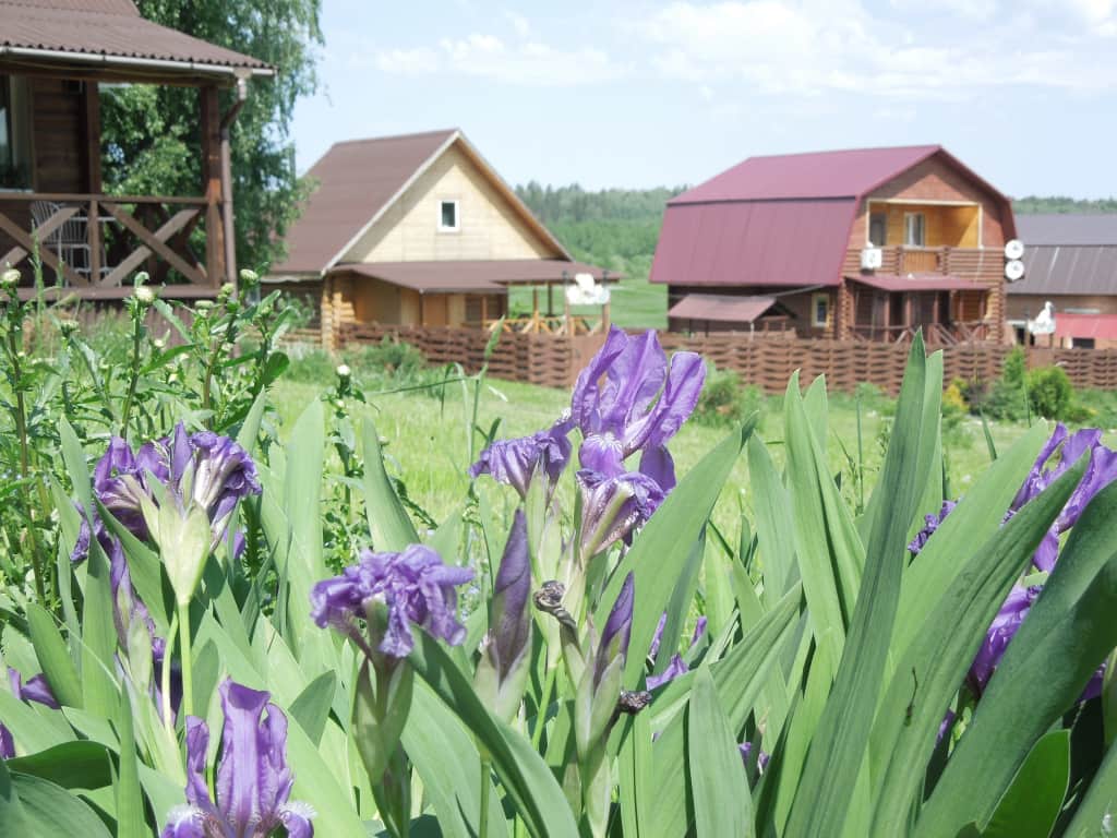 База Отдыха Раздолье: фото 2