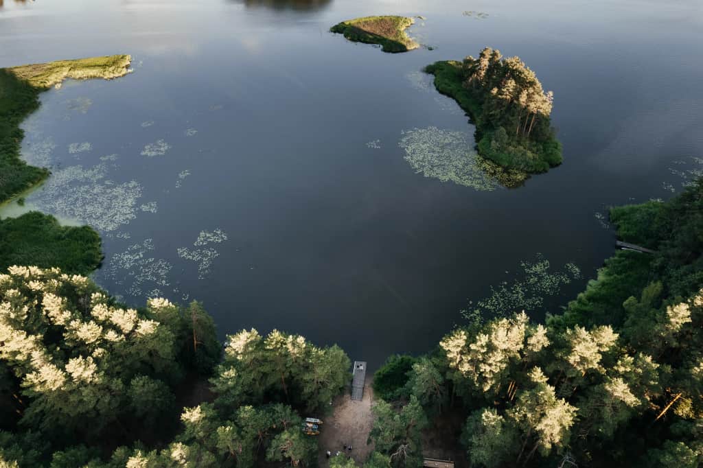 Кемпинг Лес и Море: фото 2