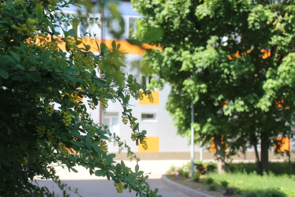 Borovichskij(AO BKO): фото 2