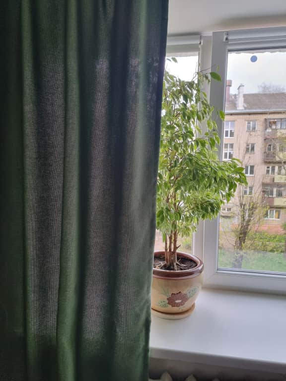 Квартира на Богдановича 6: фото 2