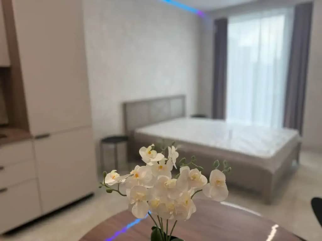 Квартира студия 23,5 м², 1 кровать: фото 2