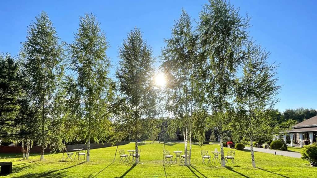 Загородный комплекс Art Village Club: фото 2