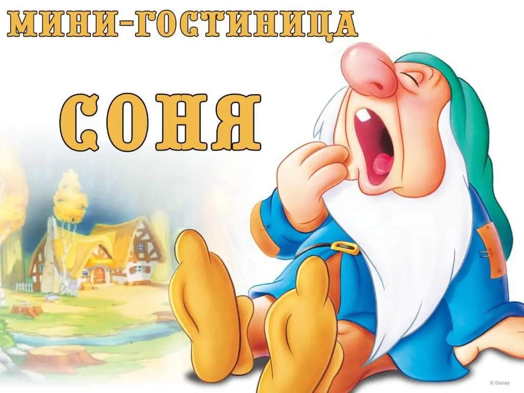 Мини-отель Соня: фото 3