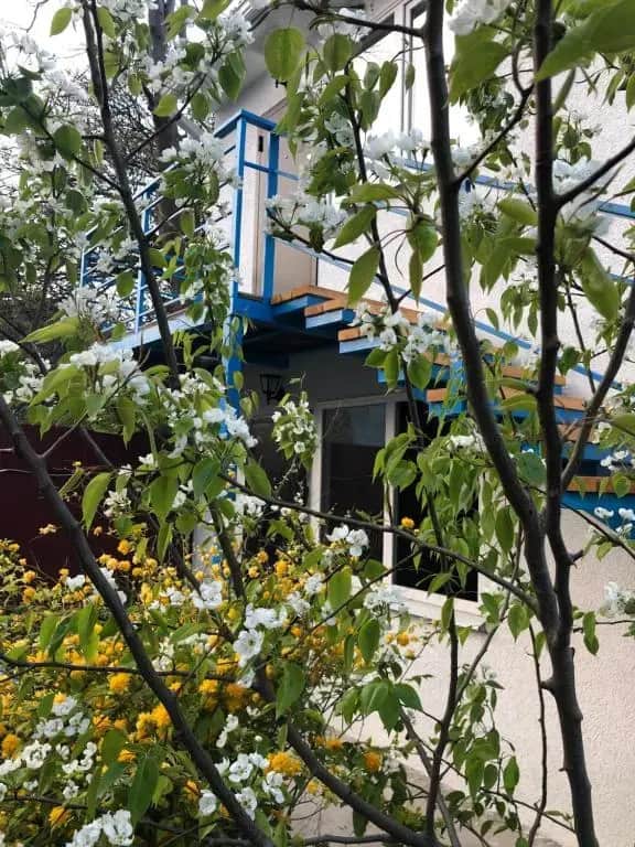 Гостевой дом На самбурова: фото 3