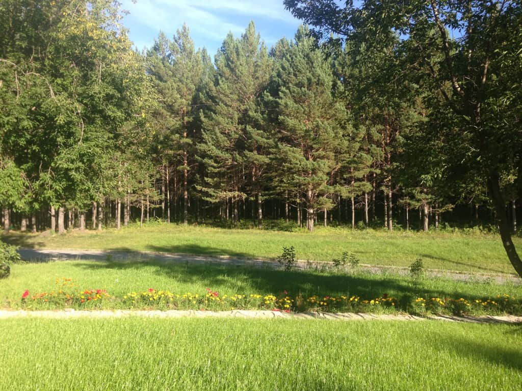 Гостиница Сосновый Бор: фото 3