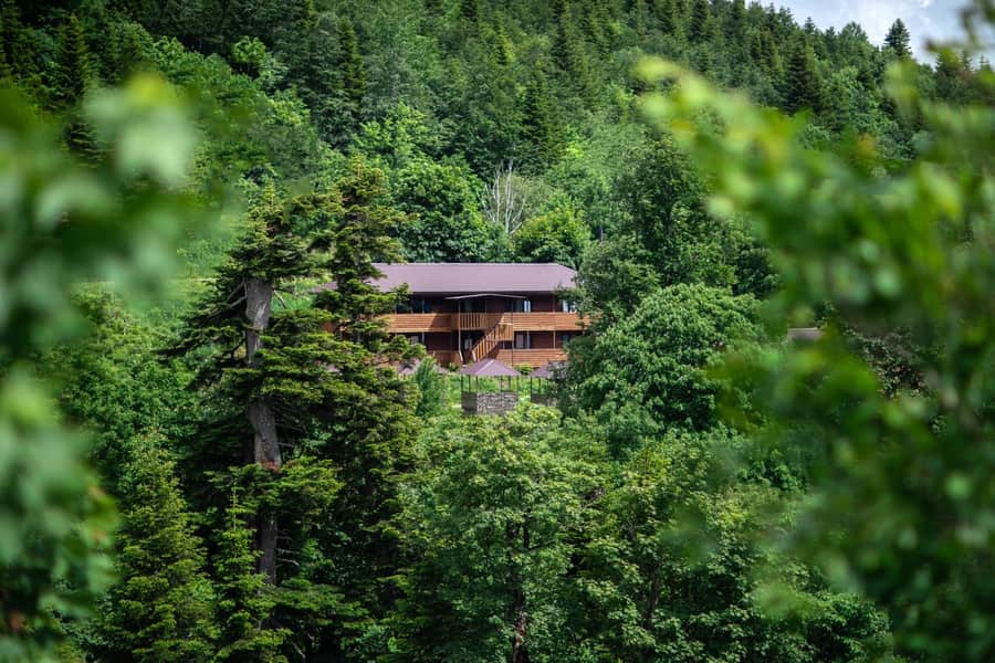 База отдыха Панорама: фото 3
