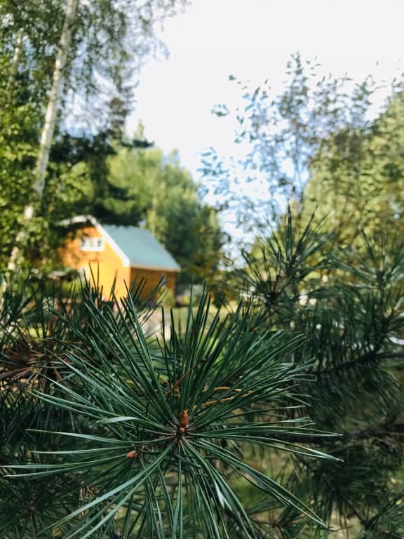 База отдыха Загородный клуб На Ватоме: фото 2