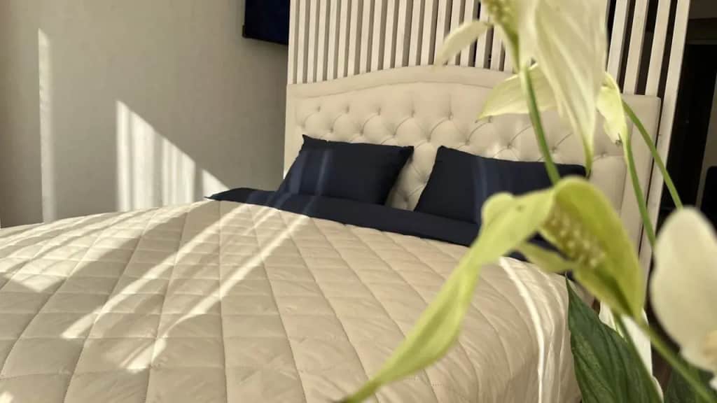 Апартаменты Moments House Нео-Классика: фото 3