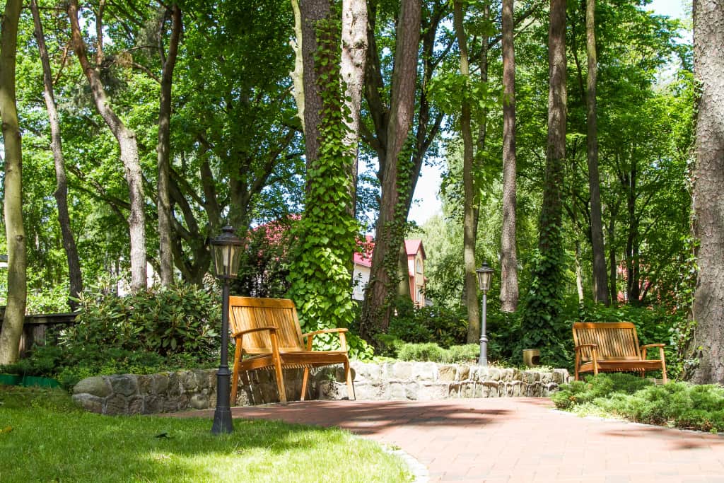 Гостиница Royal Falke Resort & SPA: фото 3