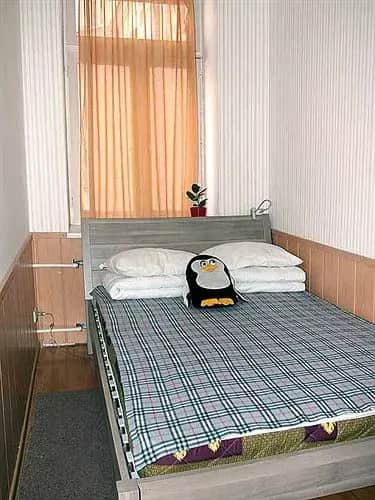 3 Penguins Hostel: фото 2
