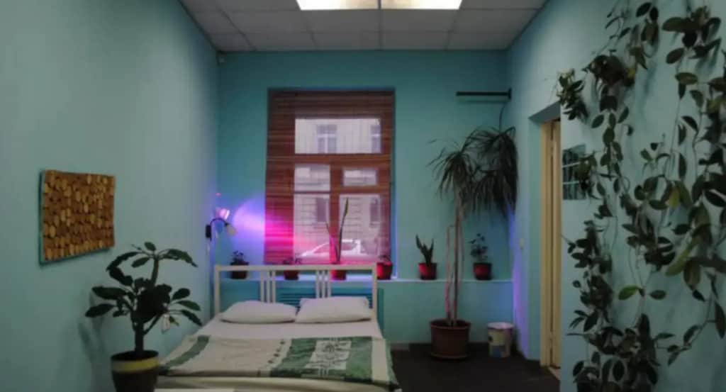 Botanic Hostel: фото 2