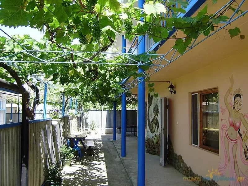 Guest House Ariel: фото 3