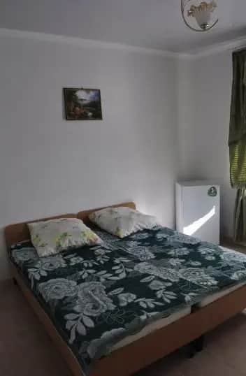 Solnechnyij Guest House: фото 2