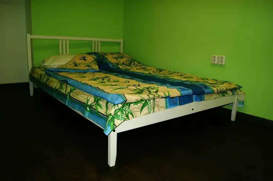 Botanic Hostel: фото 3