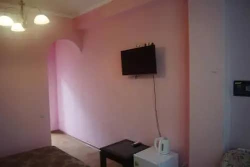 Guesthouse Aragats: фото 7