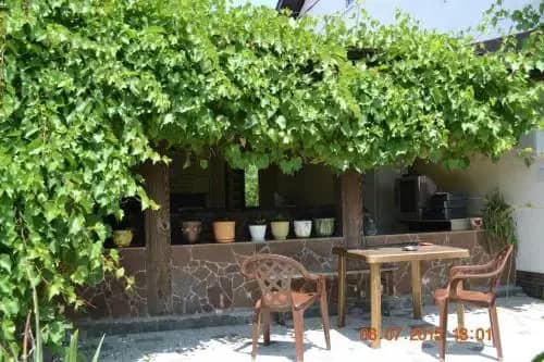 Guest House Rayskiy Ugolok: фото 4