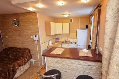 Center Loft Студия центр Омск Гагарина Безконтактное заселение: фото 5