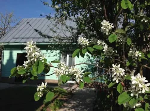 Holiday Home na Berendeevskoy: фото 5