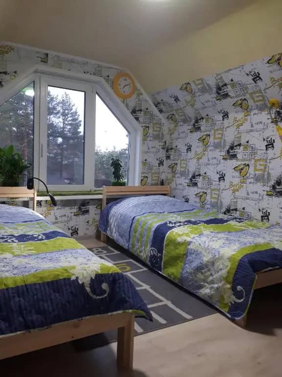 Сосновый бор: фото 6