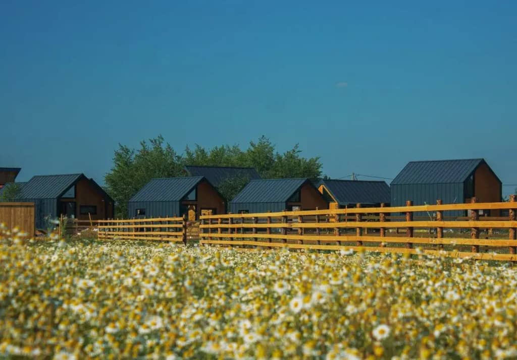Farm&Village: фото 4