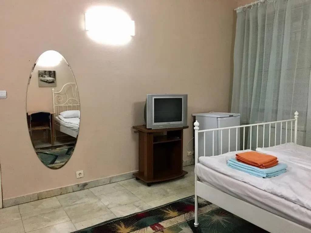 Меблированные комнаты Петроград на Жуковского: фото 4