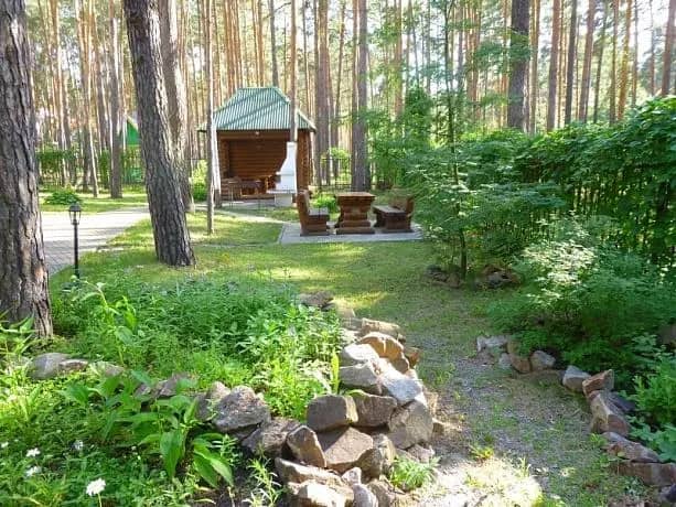Сосны плюс: фото 5