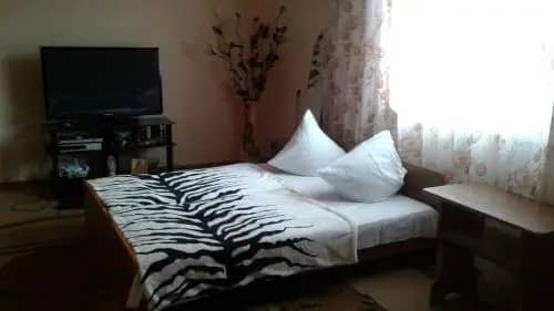 Violetta Guest House: фото 4