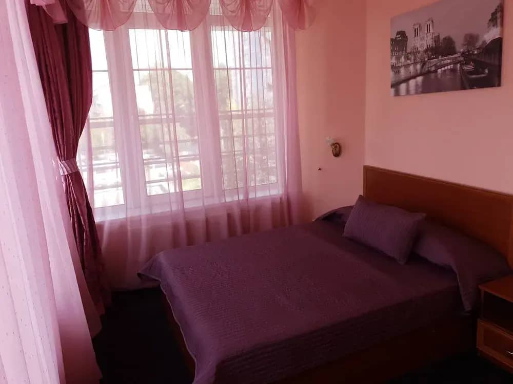 Allians Hotel Vidnoe: фото 5