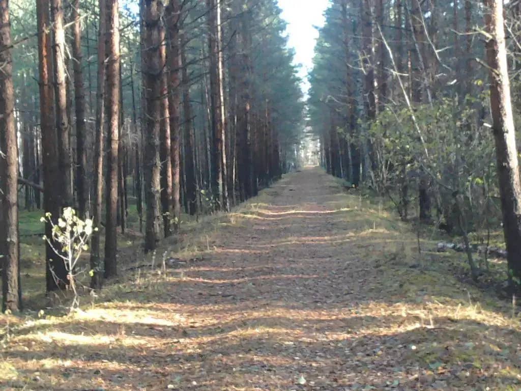Дом-коттедж 120 м.кв. посуточно: фото 4