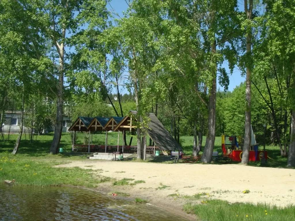 Сосновый бор (Свердл.обл): фото 4