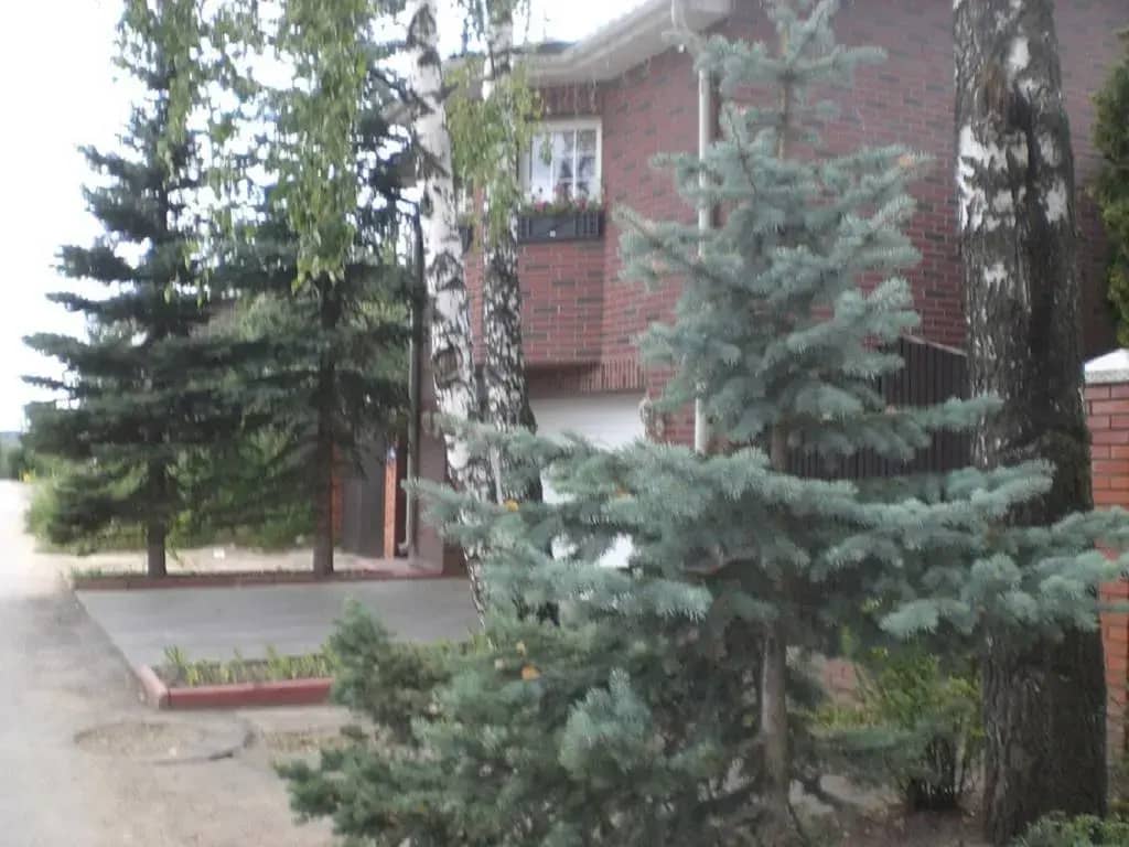 Cottage on Lesnaya 3: фото 6