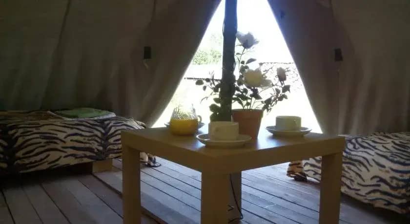 CampTom Camping: фото 6