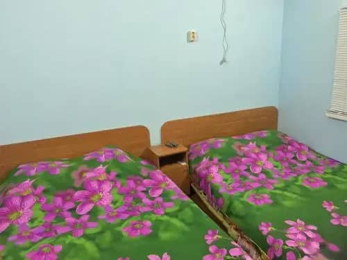 Inn Alexandriya: фото 5